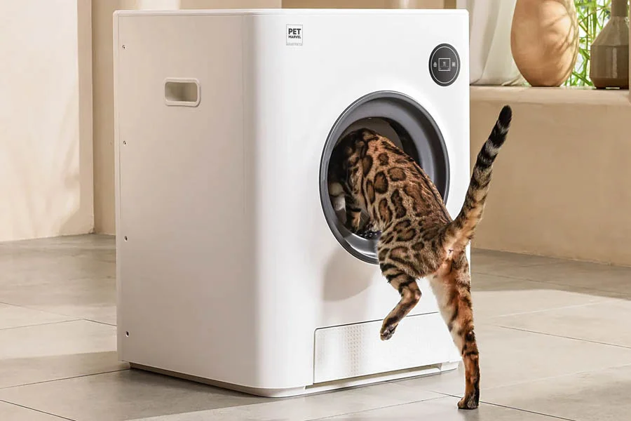 automatic litter